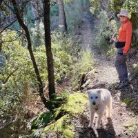 Hondenoppas Vaals: Peter&Geeske