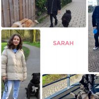 Hondenuitlaatservice Zoetermeer: Sarah