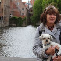 Hondenopvang Utrecht: Madeleine