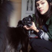 Hondenopvang Den Bosch: Gina