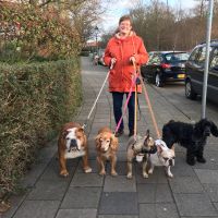 Hondenoppas Den Haag: Annette