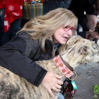 Hondenopvang Hoogerheide: Els
