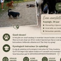 Hondenuitlaatservice Egmond aan Zee: Kayleigh