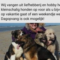 Hondenopvang Berkhout: Caroline