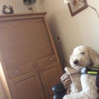 Hondenoppas werk Assen: baasje van Daisy