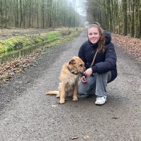 Hondenoppas Zoetermeer: Runa 