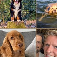 Hondenoppas Enschede: Manon