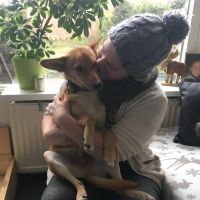 Hondenopvang Zoetermeer: Dana