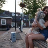 Hondenuitlaatservice Den Haag: Desteney