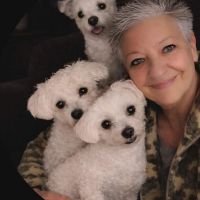 Hondenoppas Deventer: ANNELIES