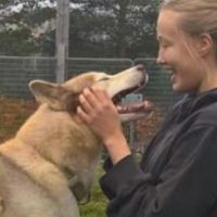 Hondenopvang Zandvoort (Noord-Holland): Marieke