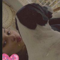 Hondenoppas Oosterhout (Noord-Brabant): Zineb