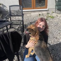 Hondenuitlaatservice Helmond: Kayleigh