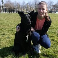 Hondenoppas Oosterhout (Noord-Brabant): Selena