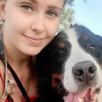 Hondenoppas Hilversum: Bodine