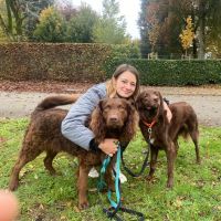 Hondenuitlaatservice Spijkenisse: Sanne