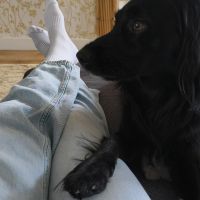 Hondenoppas werk Vlaardingen: baasje van Bobbie