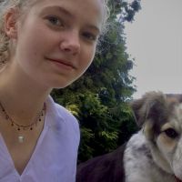 Hondenoppas Amersfoort: Marne