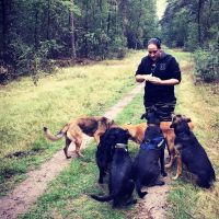 Hondenopvang Harderwijk: Amber