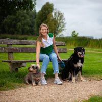 Hondenoppas Bergen op Zoom: Roos