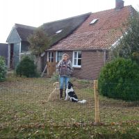 Hondenopvang Linde (Drenthe): Anne