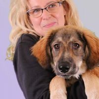 Hondenoppas Zaandam: José