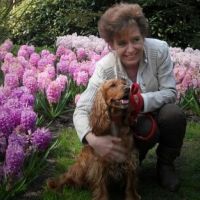 Hondenoppas Zoetermeer: Lily