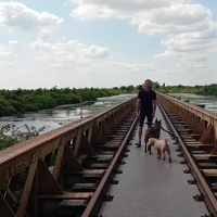 Hondenoppas Den Bosch: Gijs