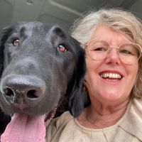 Hondenopvang Vianen (Utrecht): Carla