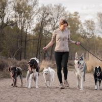Hondenuitlaatservice Veenendaal: Emmie