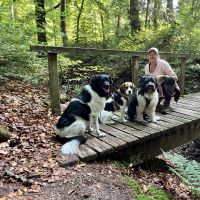 Hondenopvang Ede: Suzette