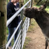 Hondenoppas Zeist: Susanne