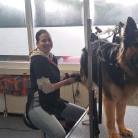Hondenuitlaatservice Heerhugowaard: Sanna-louise
