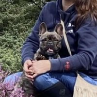 Hondenoppas Zoetermeer: Bianca 