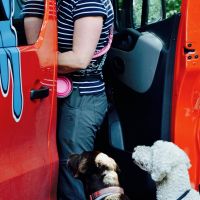 Hondenuitlaatservice Bussum: Jenny