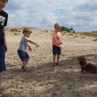 Hondenoppas Voorburg: Dorina